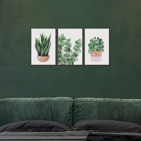 trio de quadros decorativos plantas verde