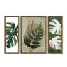 trio de quadros decorativos verde plantas