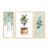 trio de quadros plantas verdes folhagens para cozinha
