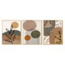 Kit 3 Quadros Decorativos Plantas Formas e Linhas Boho