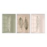 Kit 3 Quadros Decorativos Folhas Ramos Minimalista - Branca - Com Vidro - 30X40