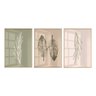 Kit 3 Quadros Decorativos Folhas Ramos Minimalista - Natural - Com Vidro - 30X40
