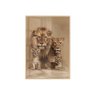 quadro decorativo familia leao em vidro
